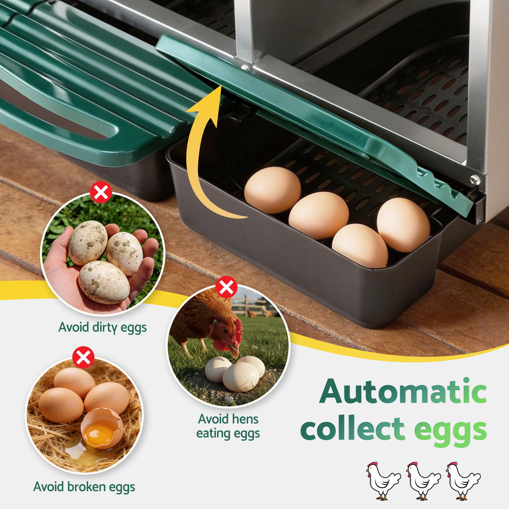 i.Pet Chicken Nesting Box Roll Away Metal Nesting Box Wall Mounted 6 Holes Green