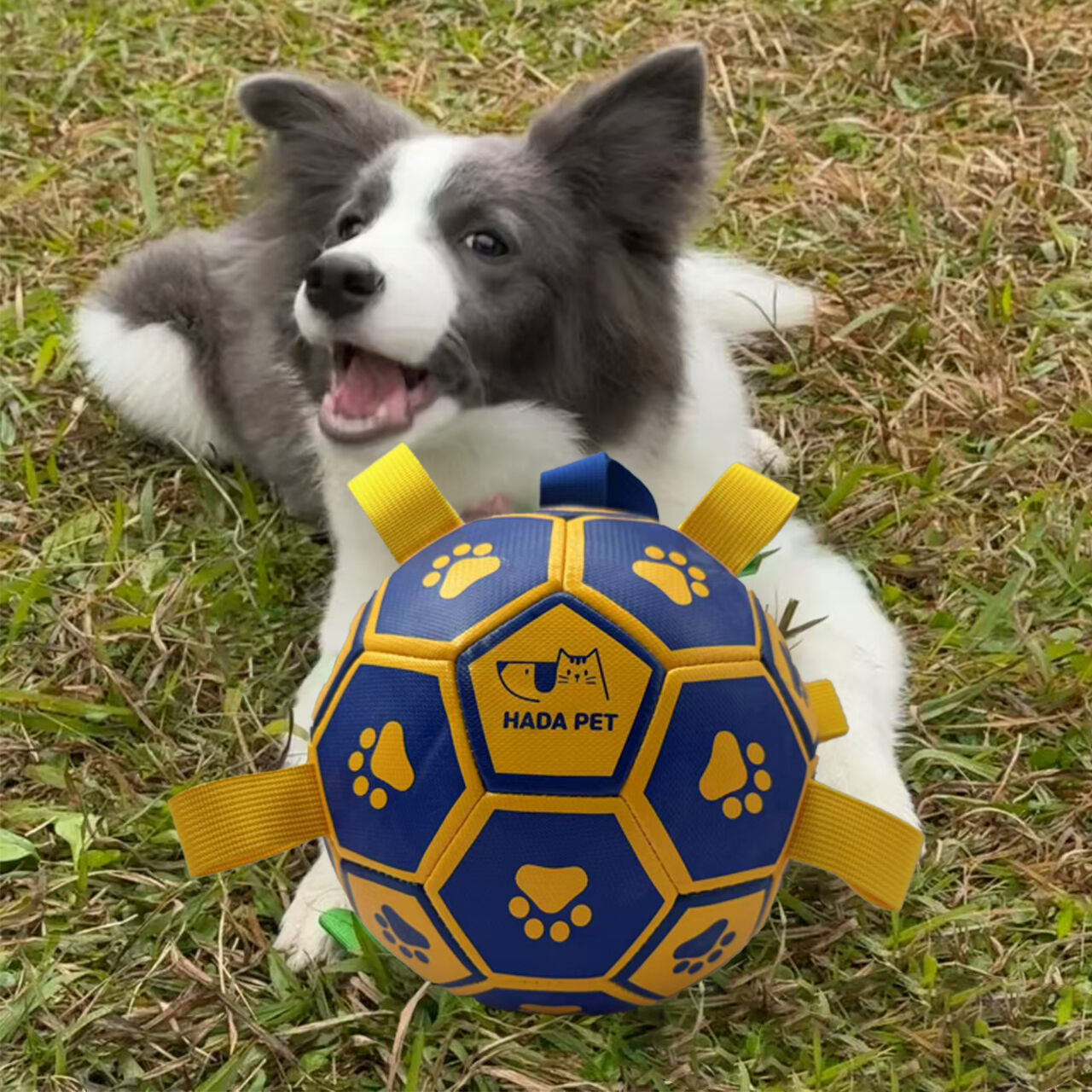 pet products Dog toy with rope Little Yellow Duck plush interactive tennis, suitable for tug-of-war, birthday gift for small dogs, draggable and durable water ball, special for small and medium-sized dogs, made of high quality PU material, which can be ki