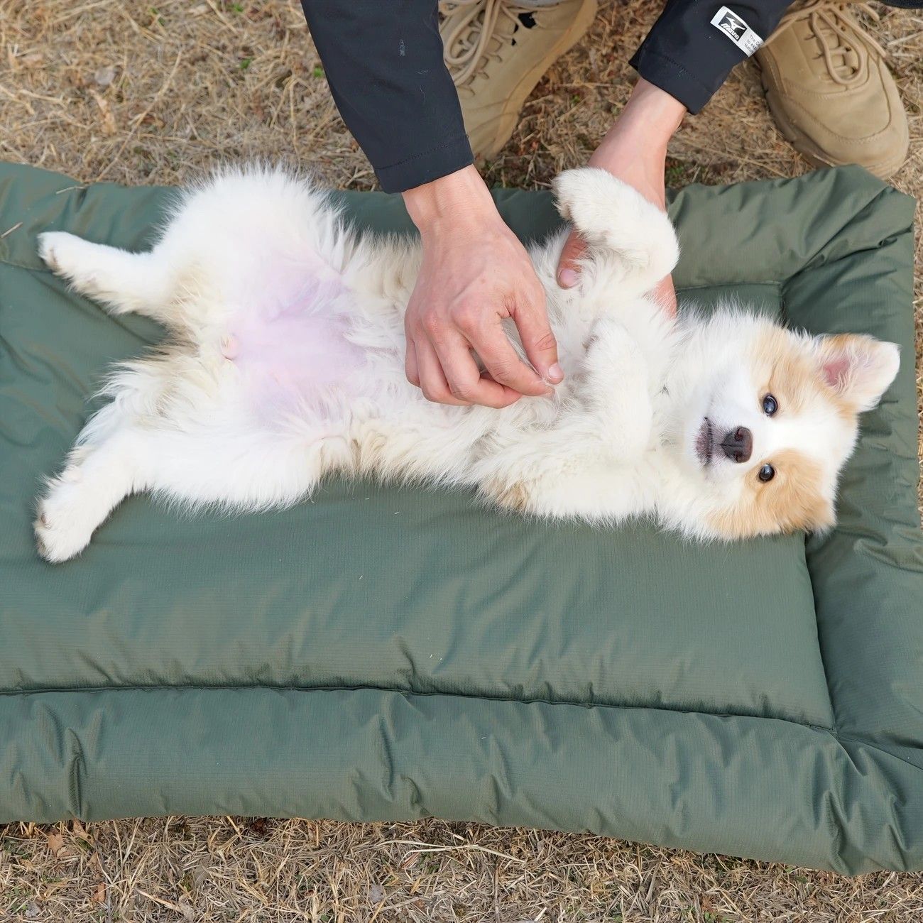 High-Quality Pet Portable Moisture-Proof Mattress, 120x80cm Large Size, Foldable for Storage, Wear-Resistant and Waterproof, All-Season Use, Suitable for Indoor and Outdoor, Ideal for Both Cats and Dogs.army green