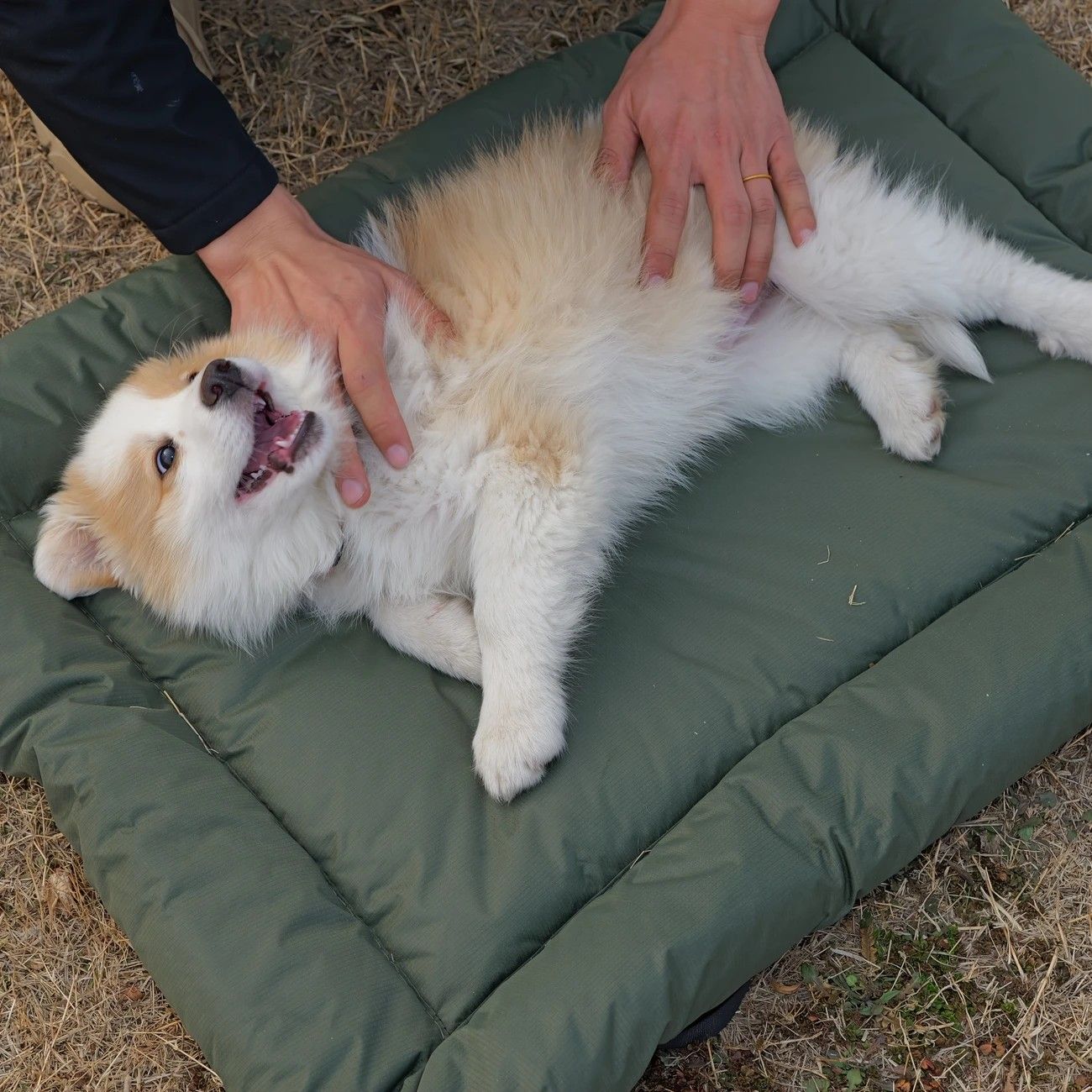 High-Quality Pet Portable Moisture-Proof Mattress, 120x80cm Large Size, Foldable for Storage, Wear-Resistant and Waterproof, All-Season Use, Suitable for Indoor and Outdoor, Ideal for Both Cats and Dogs.army green