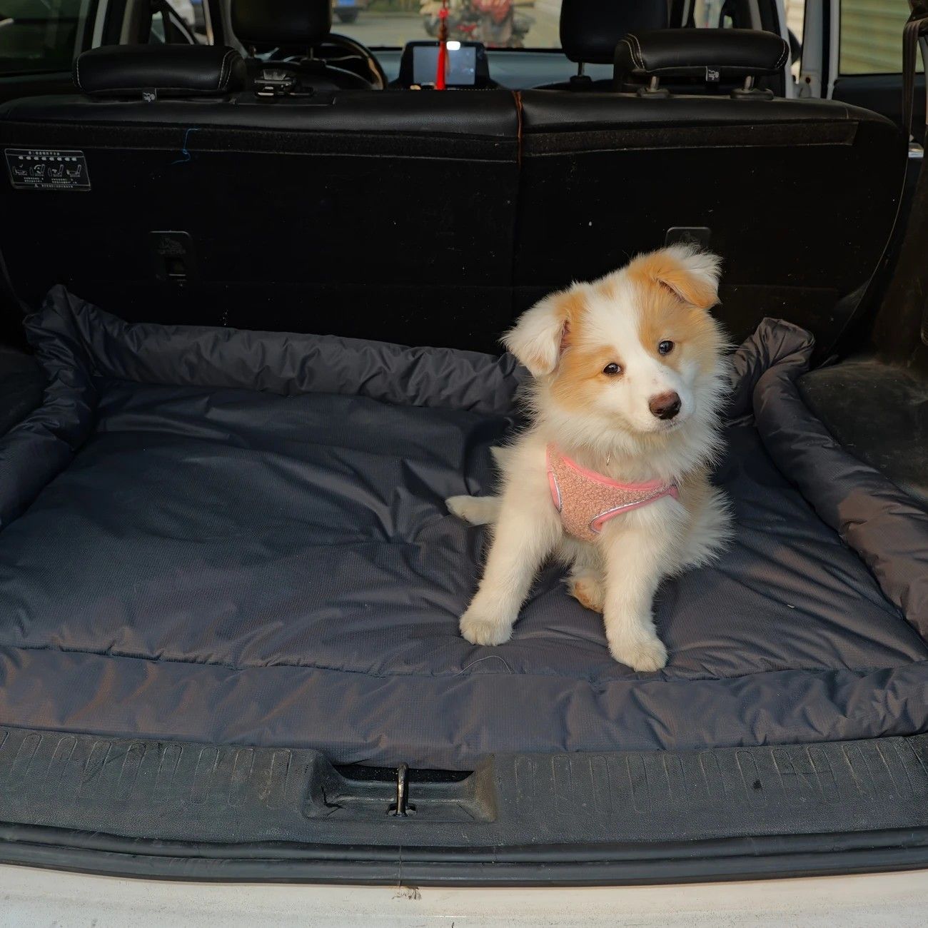 High-Quality Pet Portable Moisture-Proof Mattress, 120x80cm Large Size, Foldable for Storage, Wear-Resistant and Waterproof, All-Season Use, Suitable for Indoor and Outdoor, Ideal for Both Cats and Dogs.army green