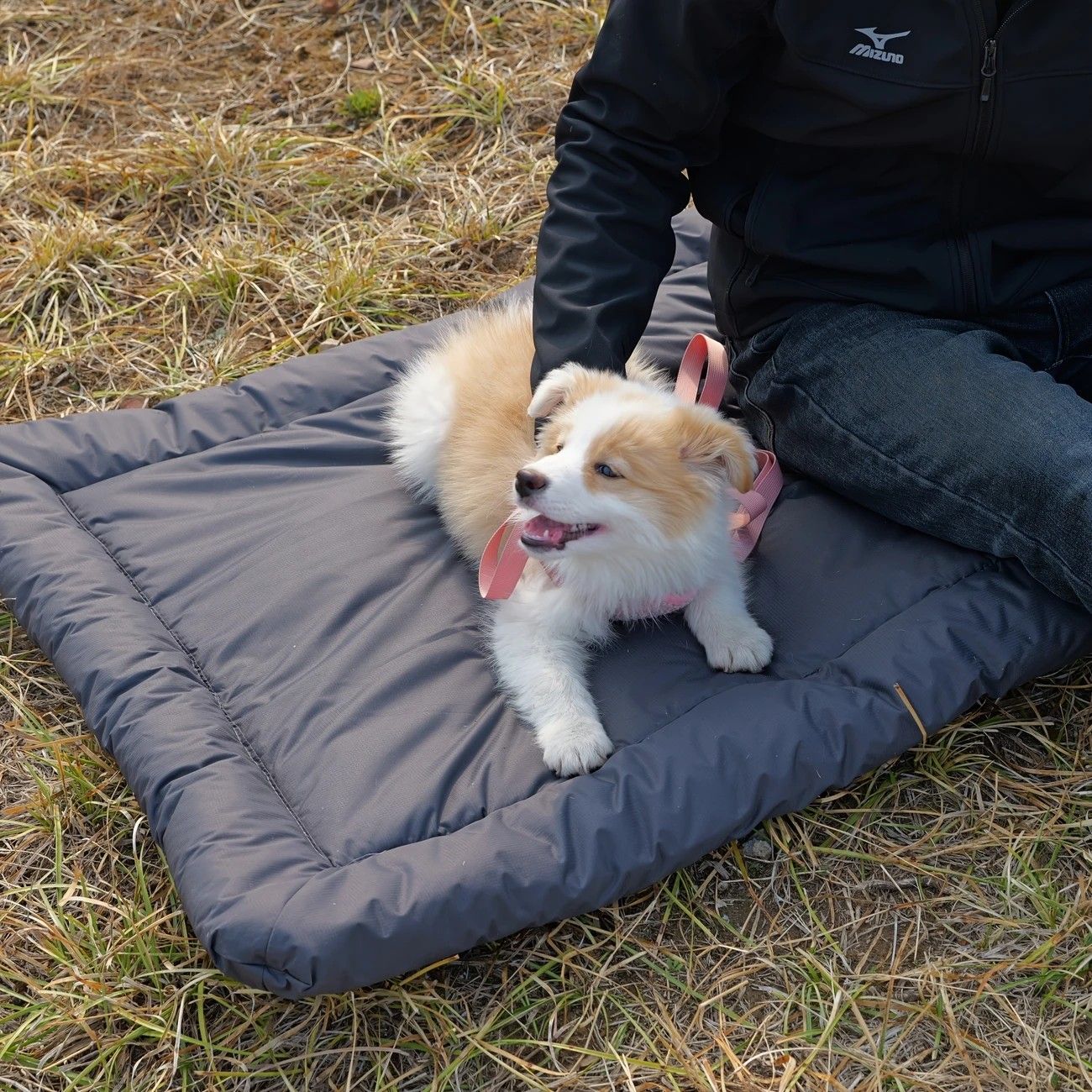 High-Quality Pet Portable Moisture-Proof Mattress, 120x80cm Large Size, Foldable for Storage, Wear-Resistant and Waterproof, All-Season Use, Suitable for Indoor and Outdoor, Ideal for Both Cats and Dogs.BLUE