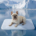 Cooling Mat Medium Size Dog - Q-Max>0.4 Thin Breathable Cooling Crate Pad Indoor for Pet with Chill Cool Fiber as Cooling Topper，Portable Washable Kennel Mat in Outdoor Summer, 29x21, Blue