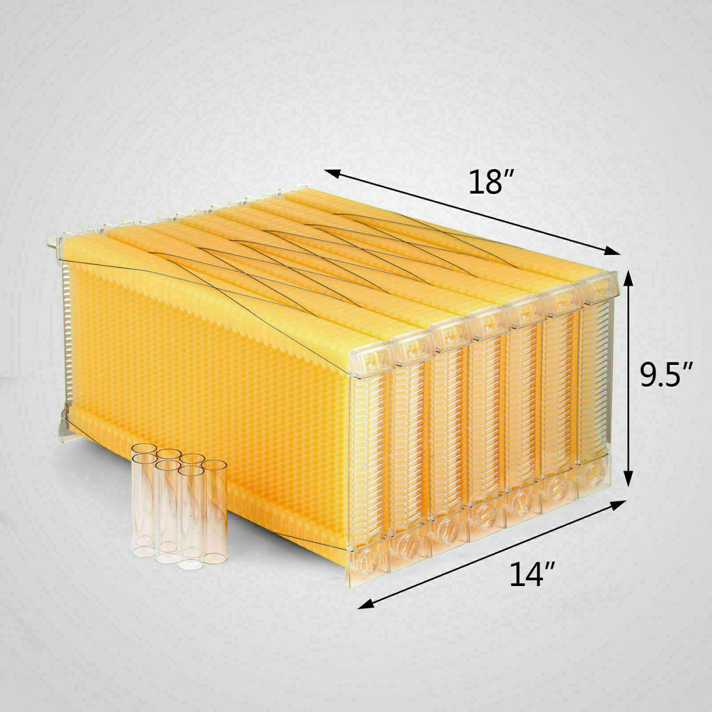 Neweast 7Pcs Flow Bee Comb Hive Frames For Wooden Beekeeping Beehive House