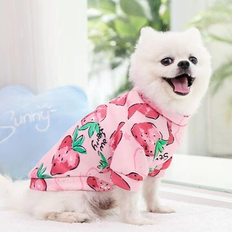 L Size Cute Pet Dog Warm Jumper Sweater Clothes Puppy Cat Knitwear Knitted Coats Winter - Green Lemon