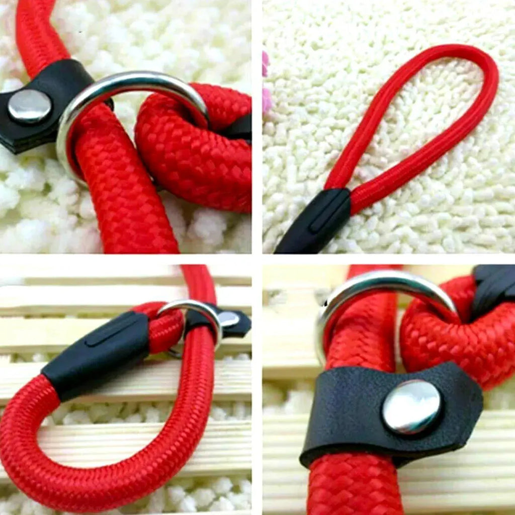 Dog Training Correction Leash Lead Cesar Puppy Pets Millan Slip Nylon Rope 10*140mm - Blue