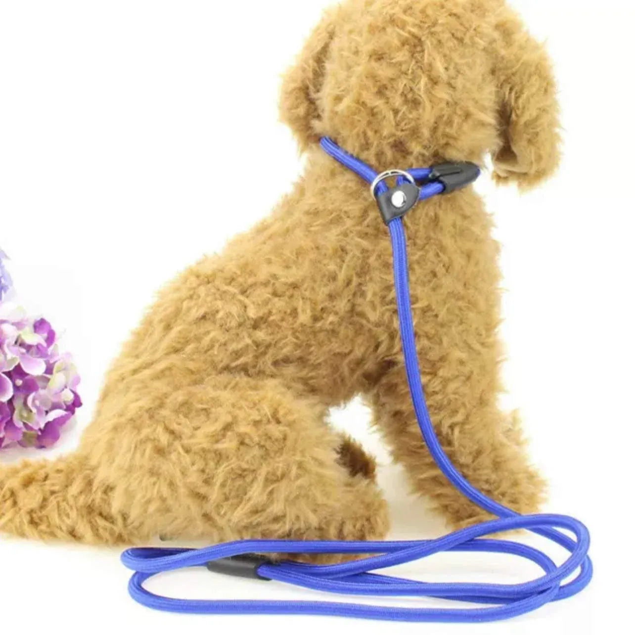Dog Training Correction Leash Lead Cesar Puppy Pets Millan Slip Nylon Rope 10*140mm - Blue