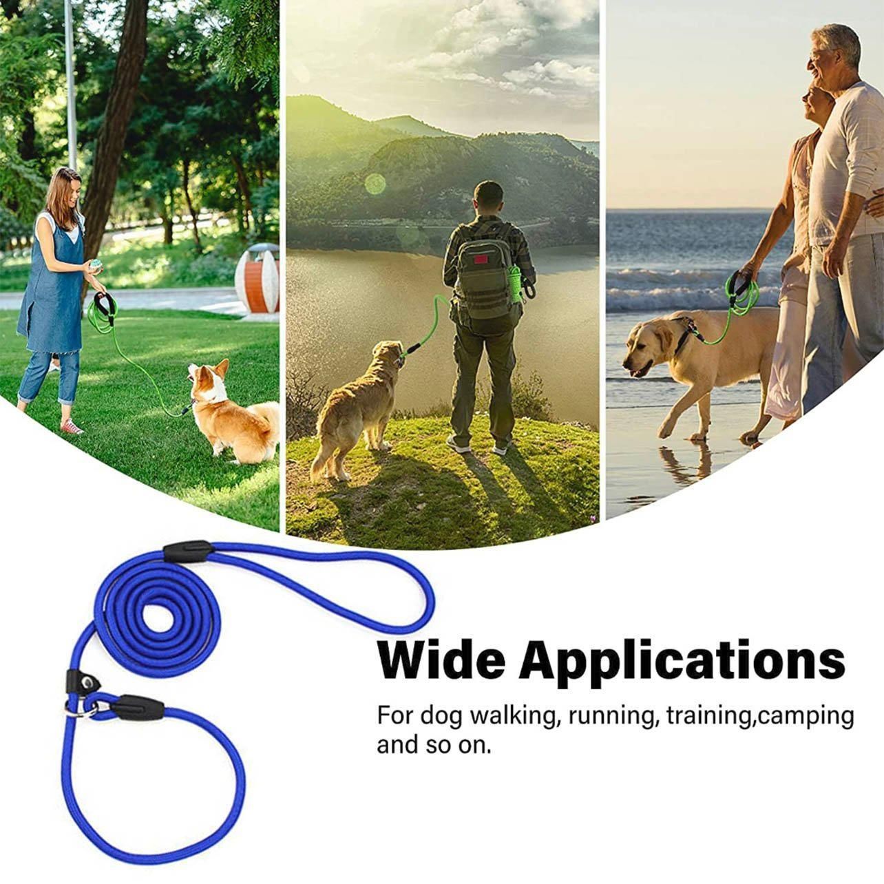 Dog Training Correction Leash Lead Cesar Puppy Pets Millan Slip Nylon Rope 10*140mm - Blue
