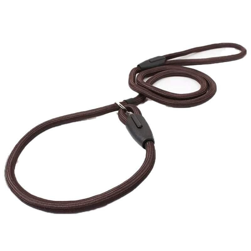 Dog Training Correction Leash Lead Cesar Puppy Pets Millan Slip Nylon Rope 10*140mm - Blue