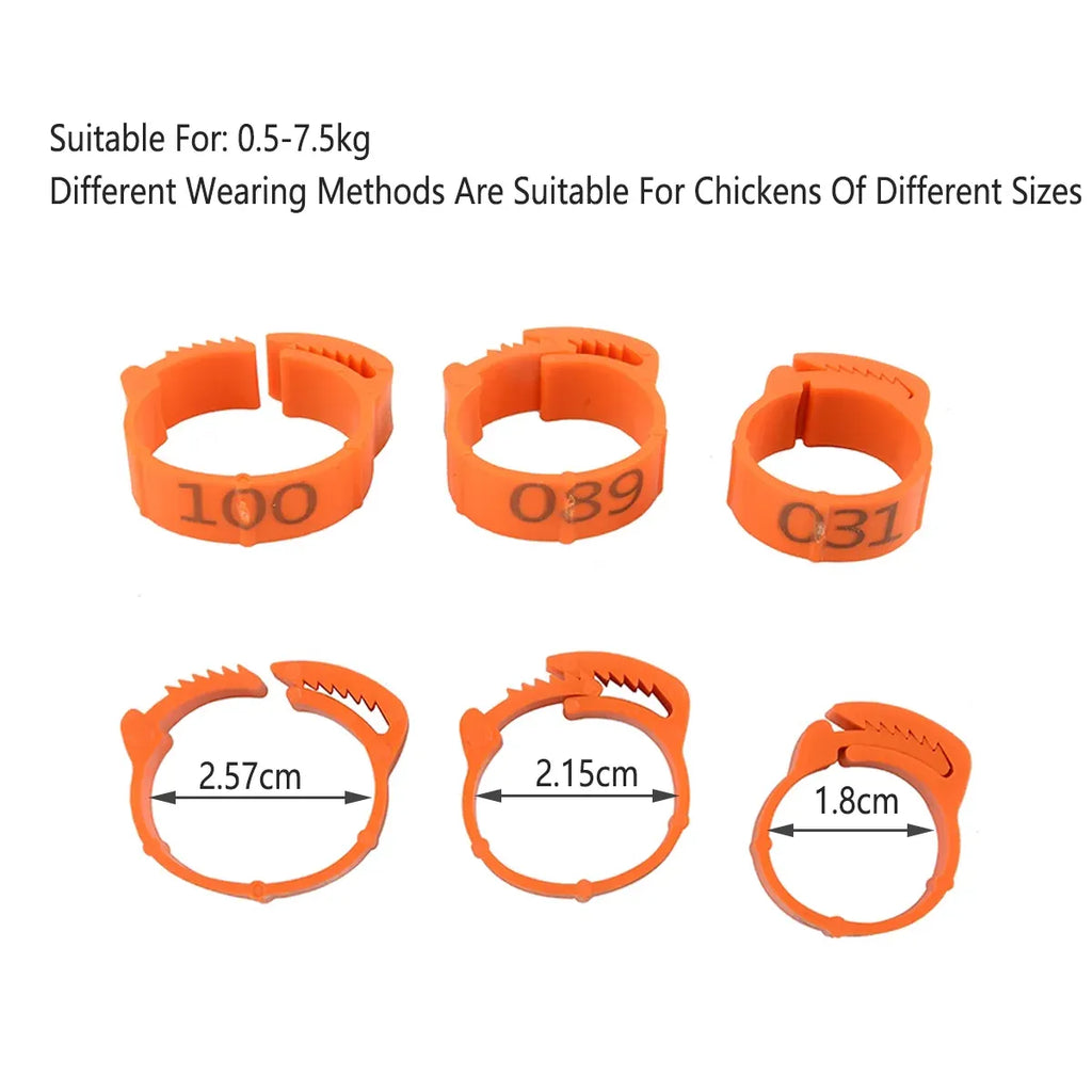 Chicken Duck Goose Leg Rings 100pcs Numbered Ankle Bands Bird ID Tags Farm Use - Green