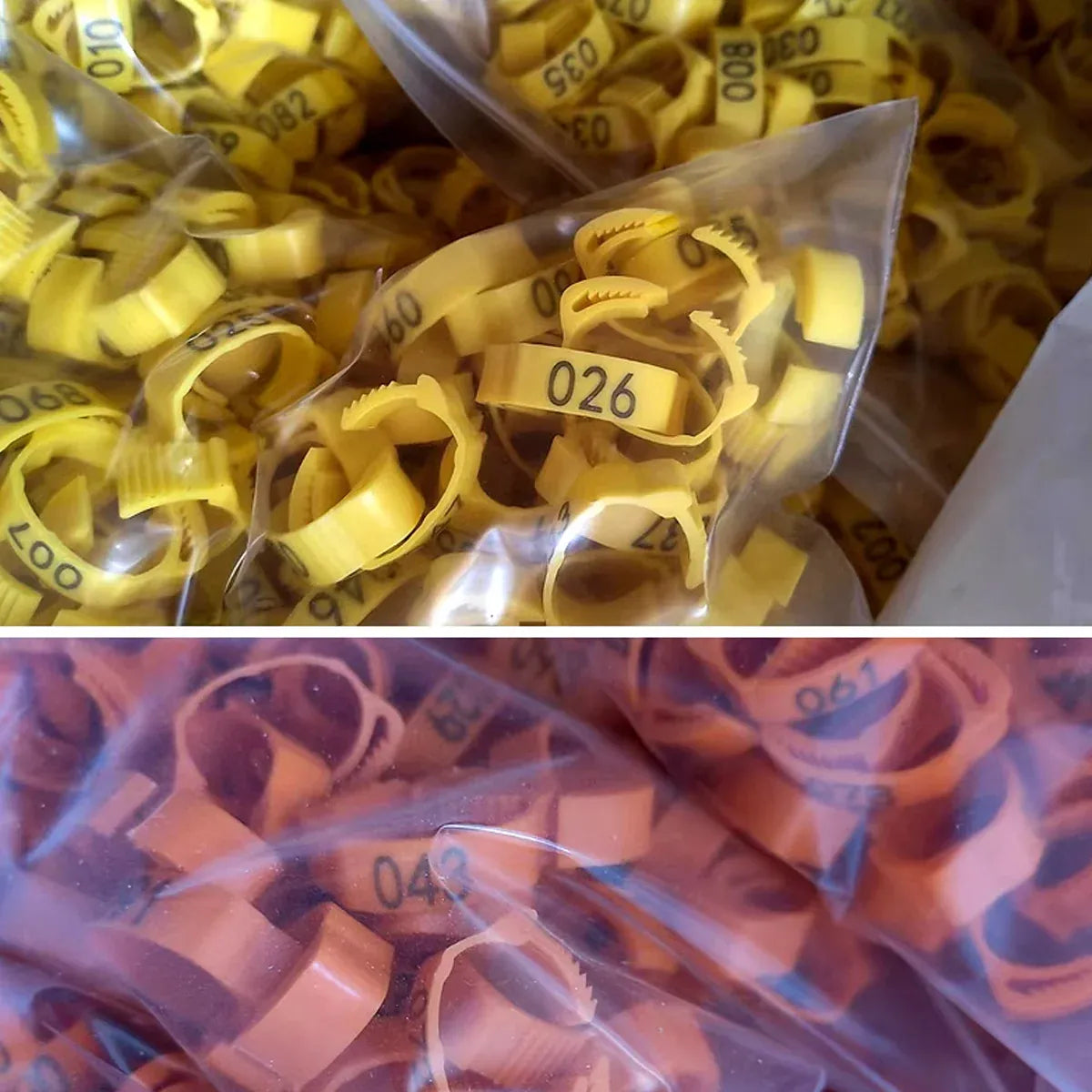 Chicken Duck Goose Leg Rings 100pcs Numbered Ankle Bands Bird ID Tags Farm Use - Green