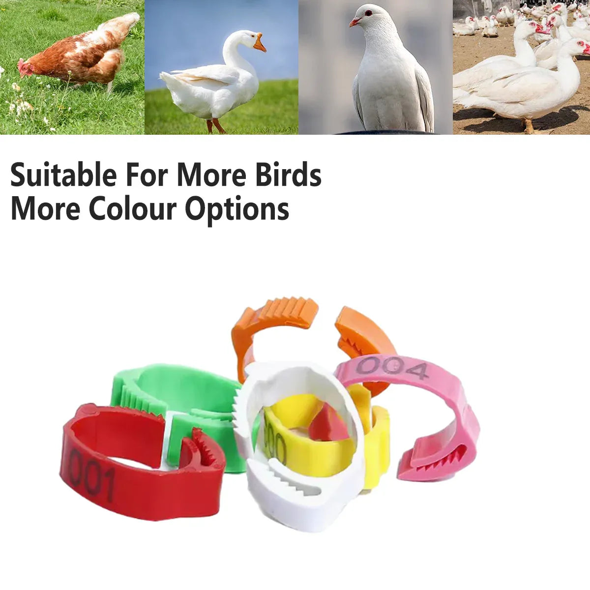 Chicken Duck Goose Leg Rings 100pcs Numbered Ankle Bands Bird ID Tags Farm Use - Green