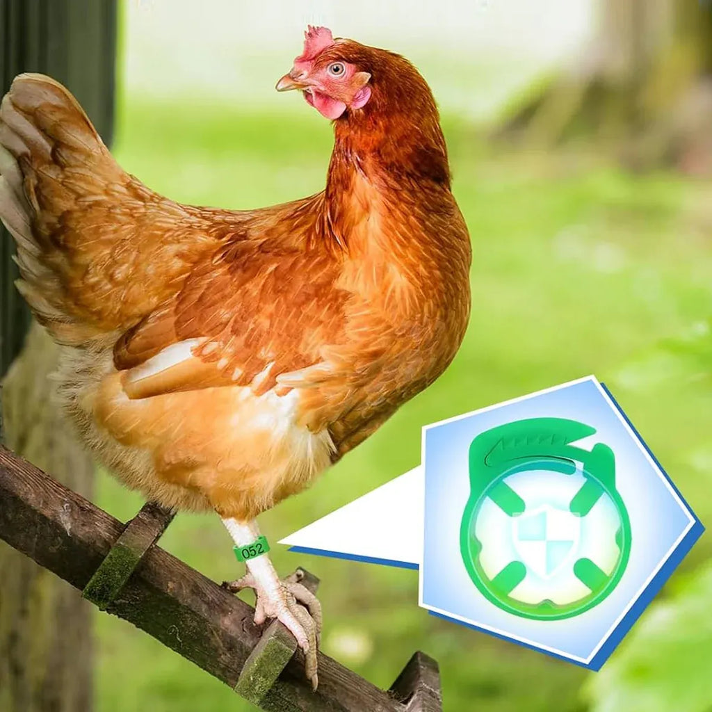 Chicken Duck Goose Leg Rings 100pcs Numbered Ankle Bands Bird ID Tags Farm Use - Green