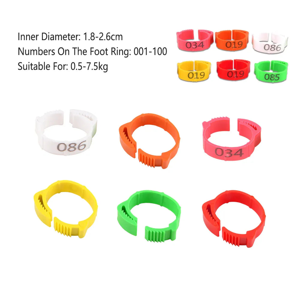 Chicken Duck Goose Leg Rings 100pcs Numbered Ankle Bands Bird ID Tags Farm Use - Green