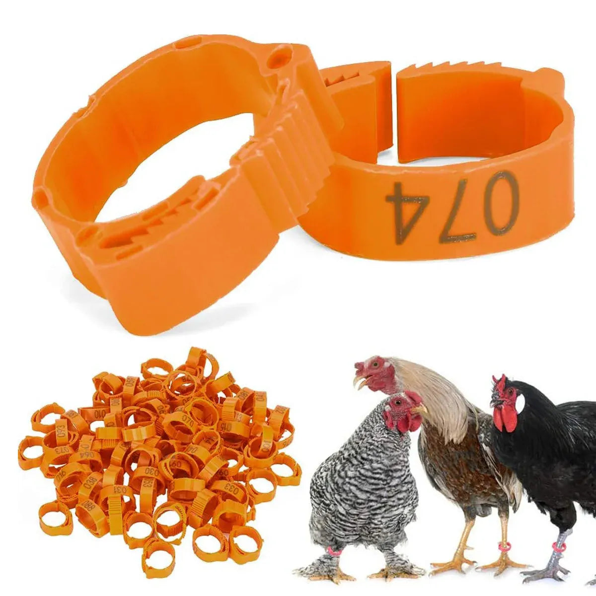Chicken Duck Goose Leg Rings 100pcs Numbered Ankle Bands Bird ID Tags Farm Use - Green