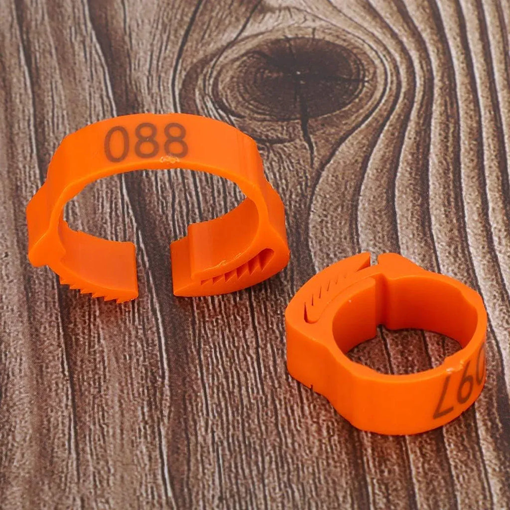 Chicken Duck Goose Leg Rings 100pcs Numbered Ankle Bands Bird ID Tags Farm Use - Green