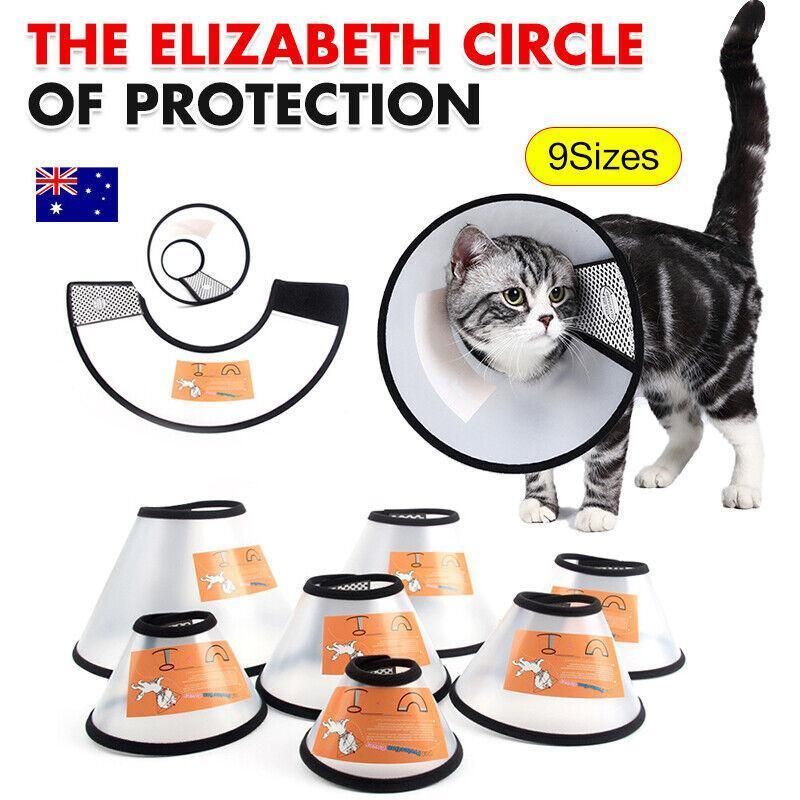 Pet Cat Dog Protective Cone Collar Elizabethan E Collar Wound Healing Recovery - 2