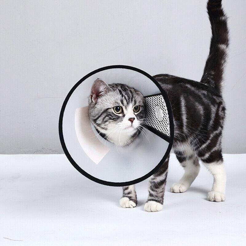 Pet Cat Dog Protective Cone Collar Elizabethan E Collar Wound Healing Recovery - 2
