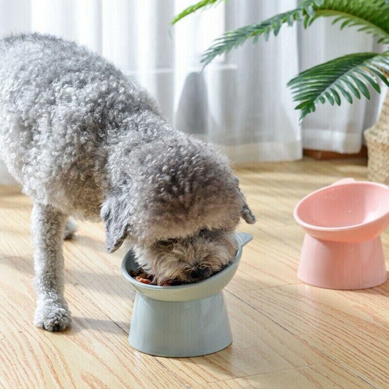 Elevated Pet Bowl Cat Dog Feeder Food Water High-Foot Anti Vomiting Tilted Bowl - Blue