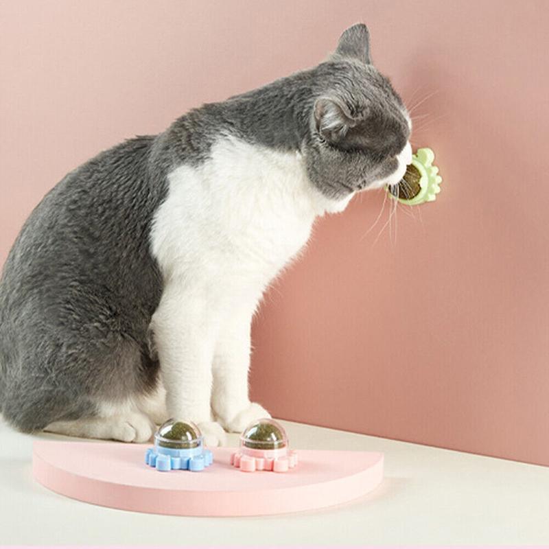 2PCS Rotatable Catnip Mint Ball Cat Treat Toys Licking Snack Cat Molar - Blue