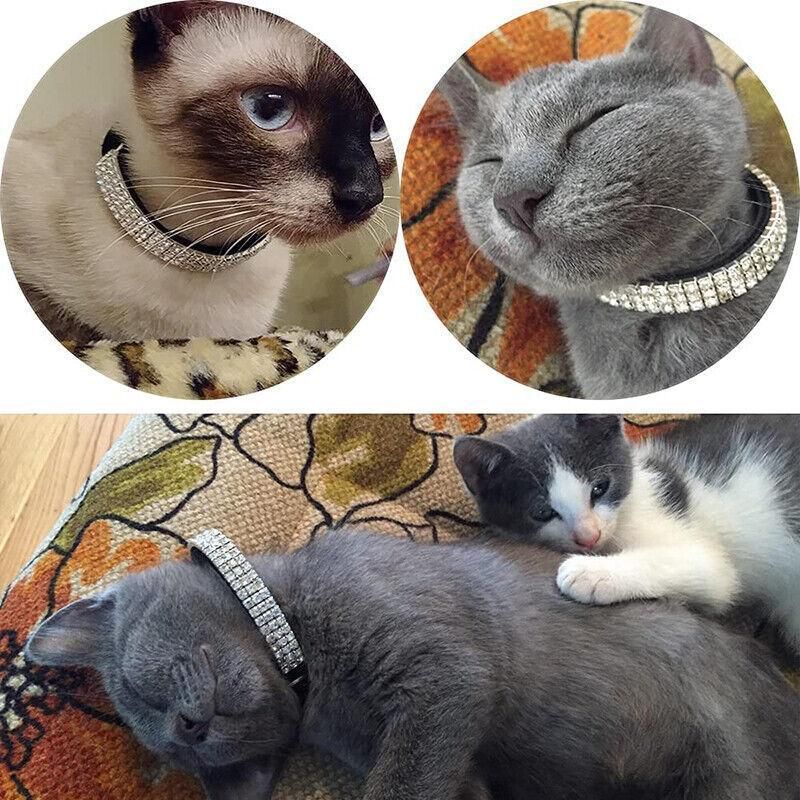 Suede Adjustable Pet Collar with Rhinestone for Cat Puppy 5 Colours Quick Release - Blue