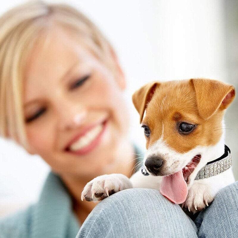 Suede Adjustable Pet Collar with Rhinestone for Cat Puppy 5 Colours Quick Release - Red