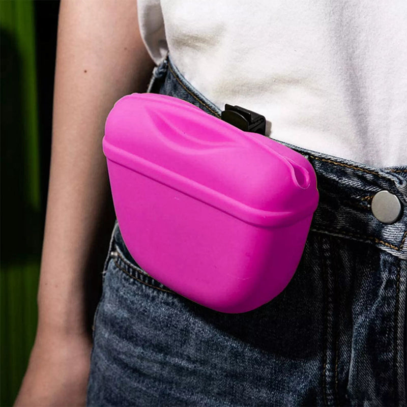 Dog Training Treat Bag Silicone Pet Pouch with Clip Waist Belt Snack Holder - Grey