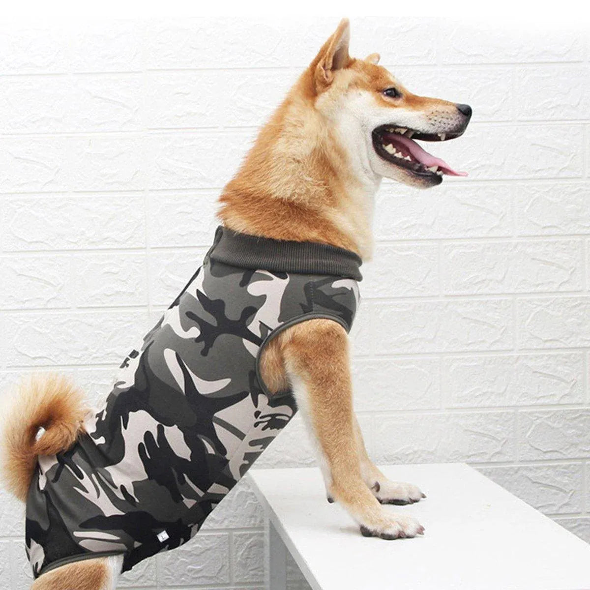 Dog Recovery Suit Anti-Lick Wound Protector Pet Clothing Post-Surgery Belly - Stripes-S
