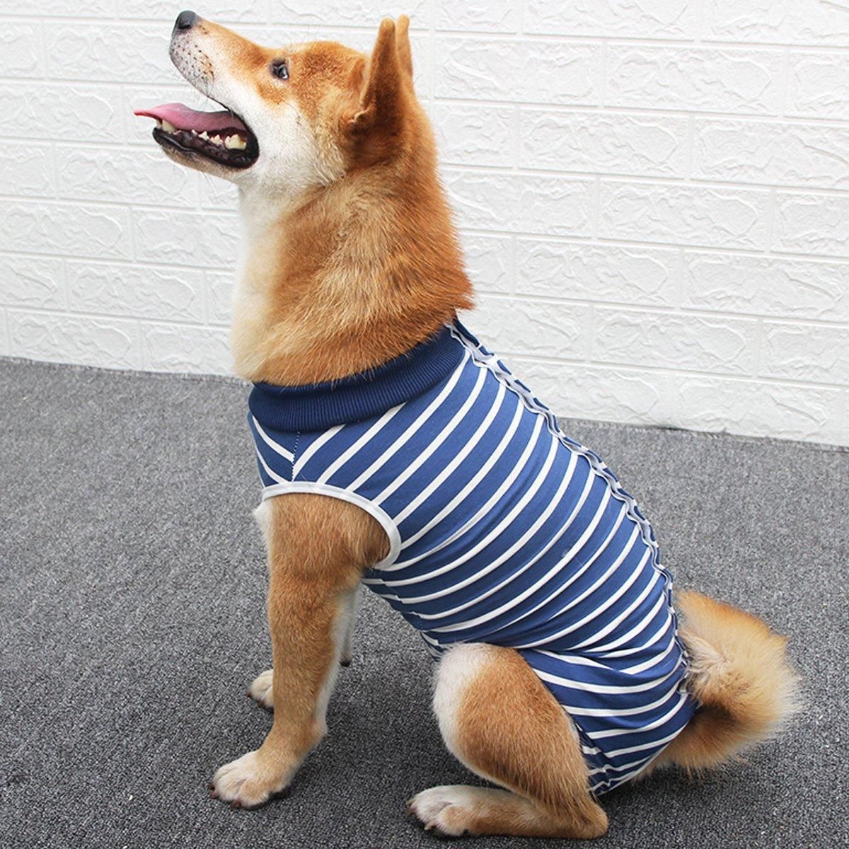 Dog Recovery Suit Anti-Lick Wound Protector Pet Clothing Post-Surgery Belly - Stripes-S
