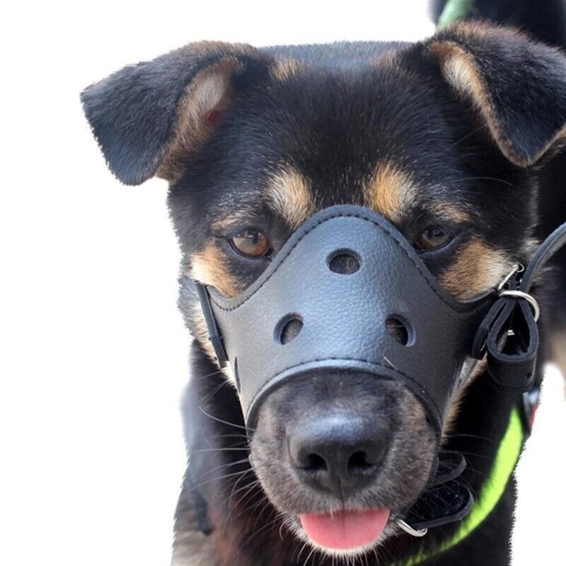 Adjustable Leather Pet Dog Mask Mouth Muzzle Anti Barking Bite Stop Chewing Brown - S
