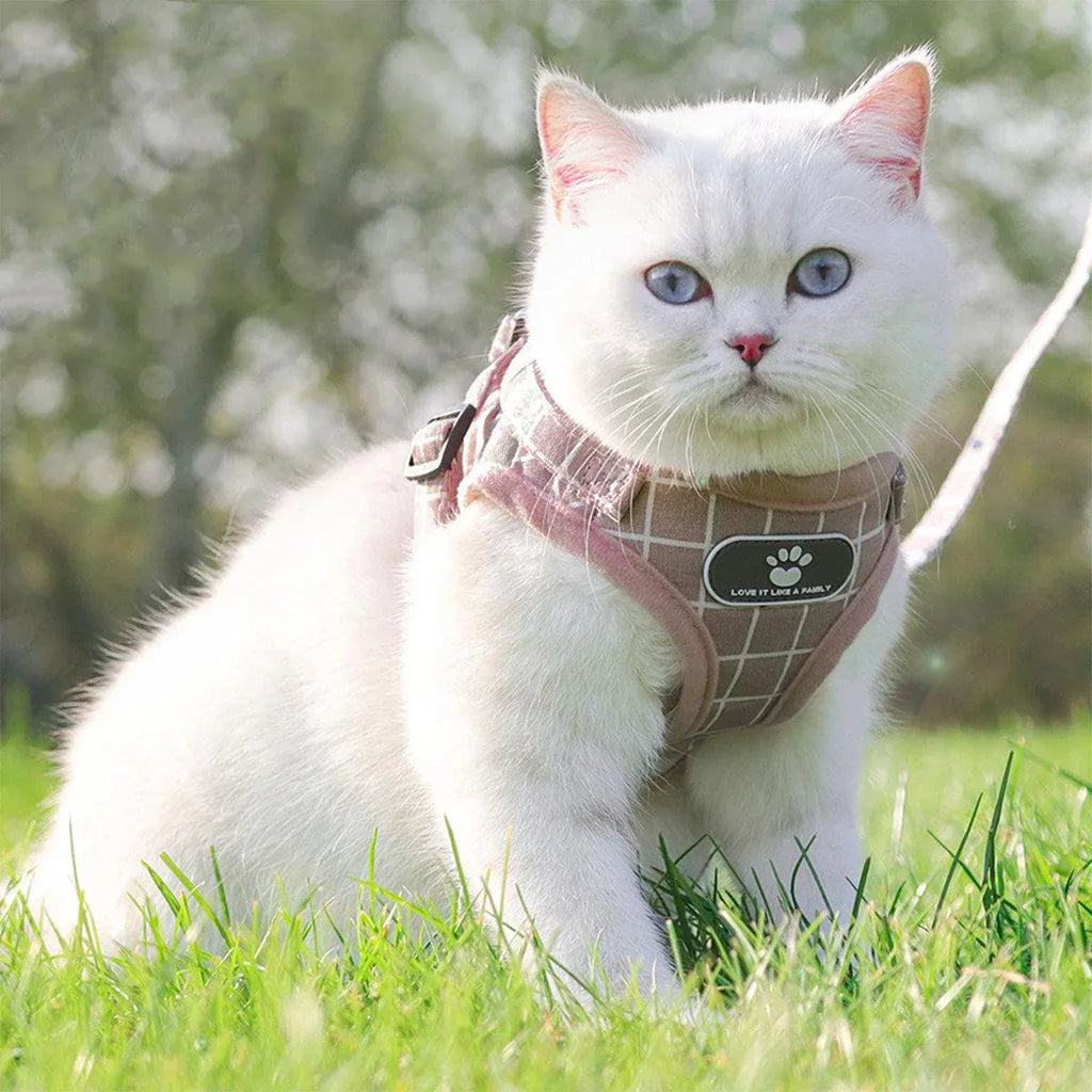 Pink Kitten Dog Cat Walking Harness Lead Leash Collar Pet Vest Mesh Adjustable - M