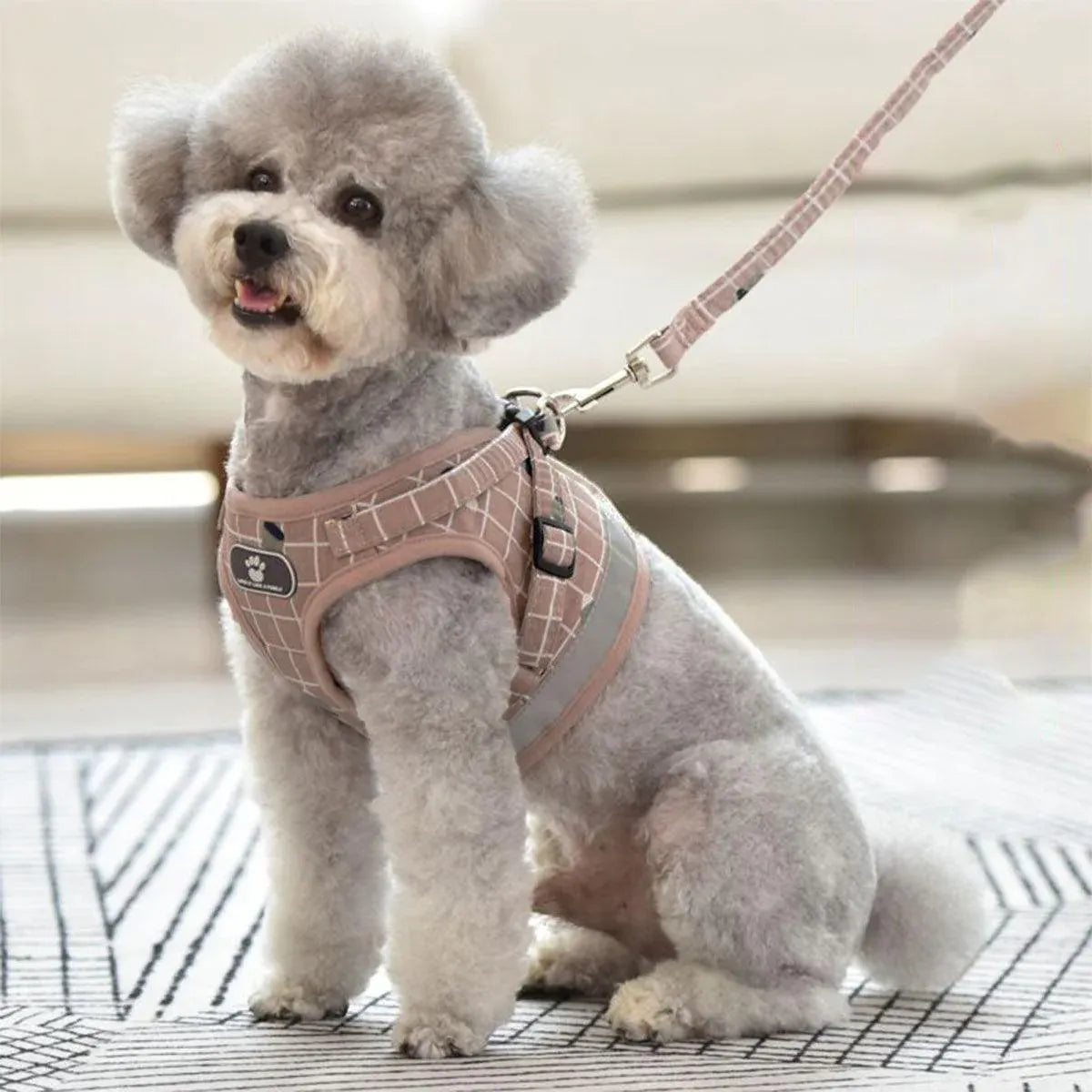 Pink Kitten Dog Cat Walking Harness Lead Leash Collar Pet Vest Mesh Adjustable - M