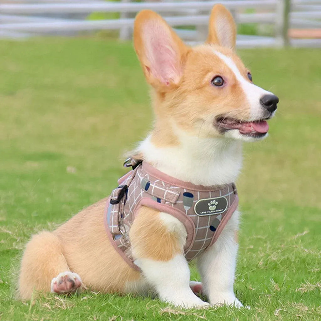 Pink Kitten Dog Cat Walking Harness Lead Leash Collar Pet Vest Mesh Adjustable - M