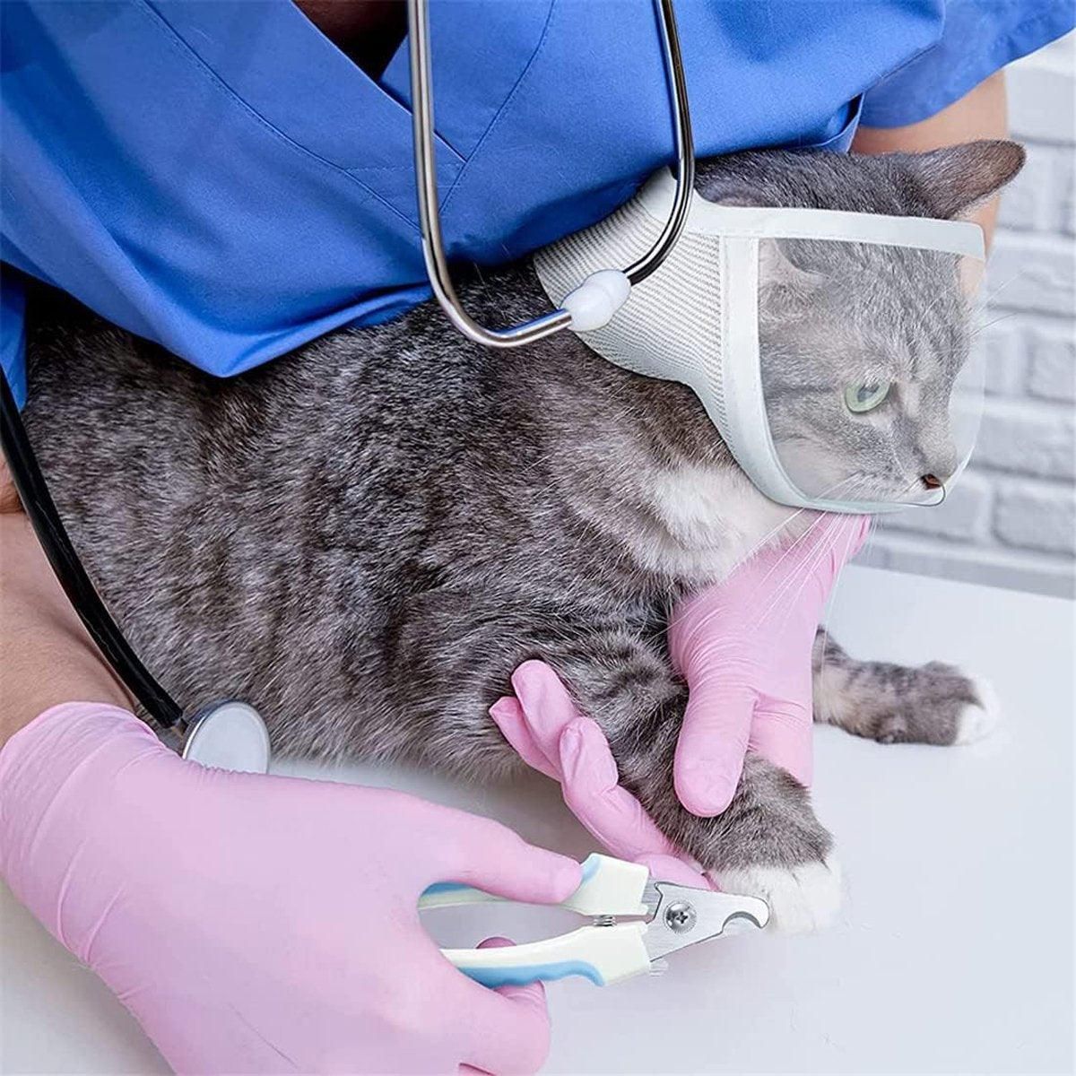 Breathable Pet Headgear Clear Cat Dog Mask Anti Bite Scratch Protective Gear - M