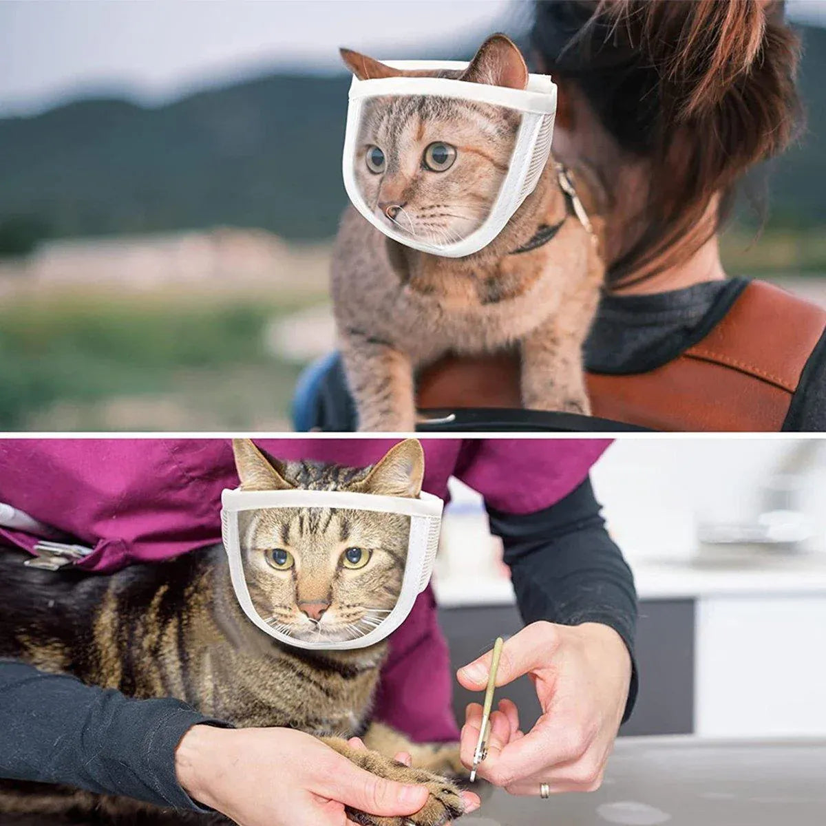 Breathable Pet Headgear Clear Cat Dog Mask Anti Bite Scratch Protective Gear - S