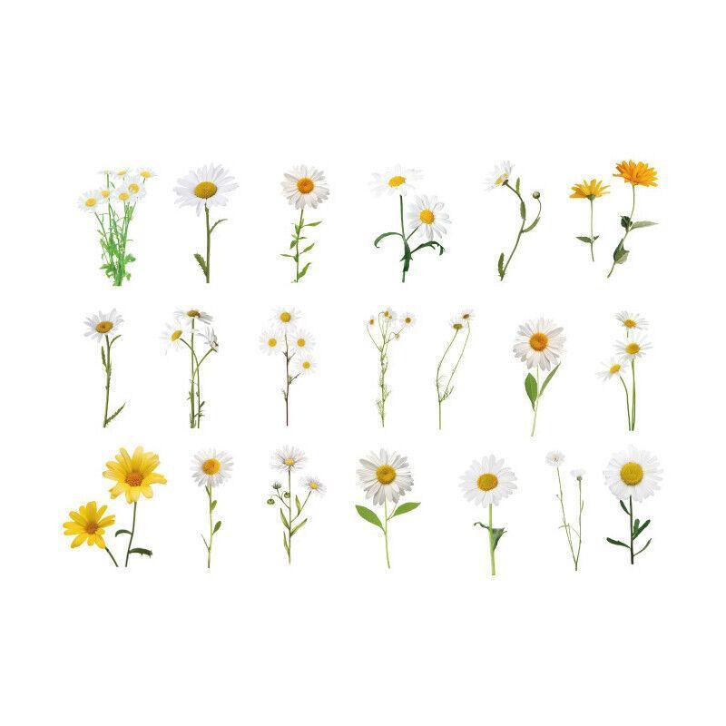 Scrapbooking Flower Stickers Pet Transparent Sticker - F