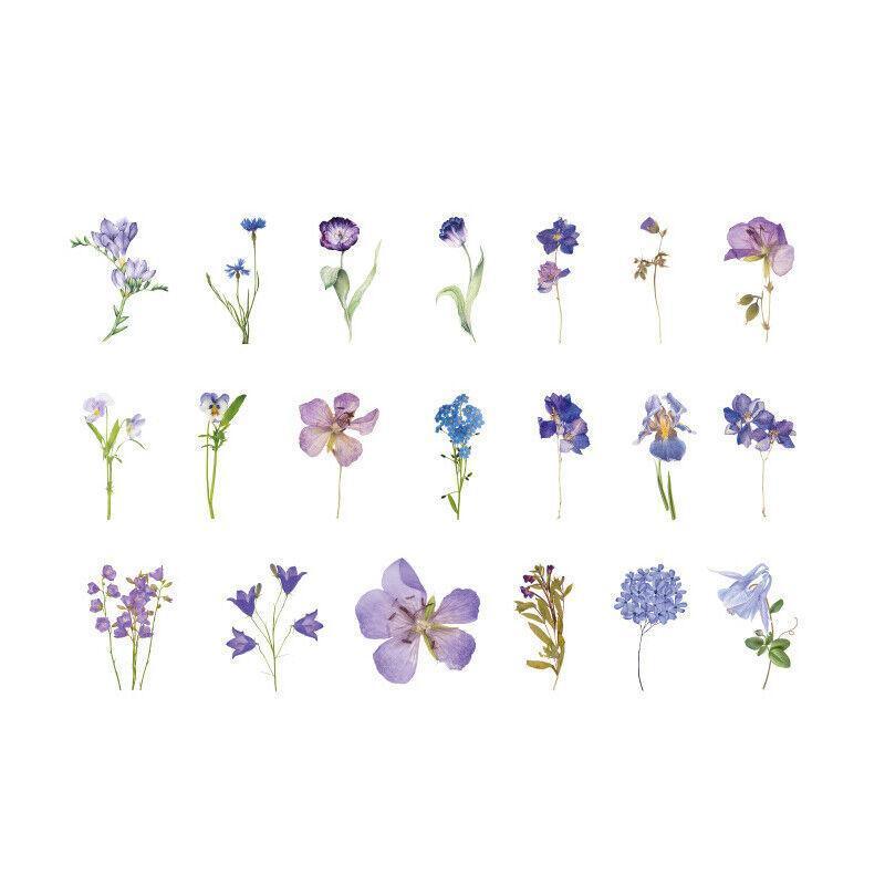Scrapbooking Flower Stickers Pet Transparent Sticker - F