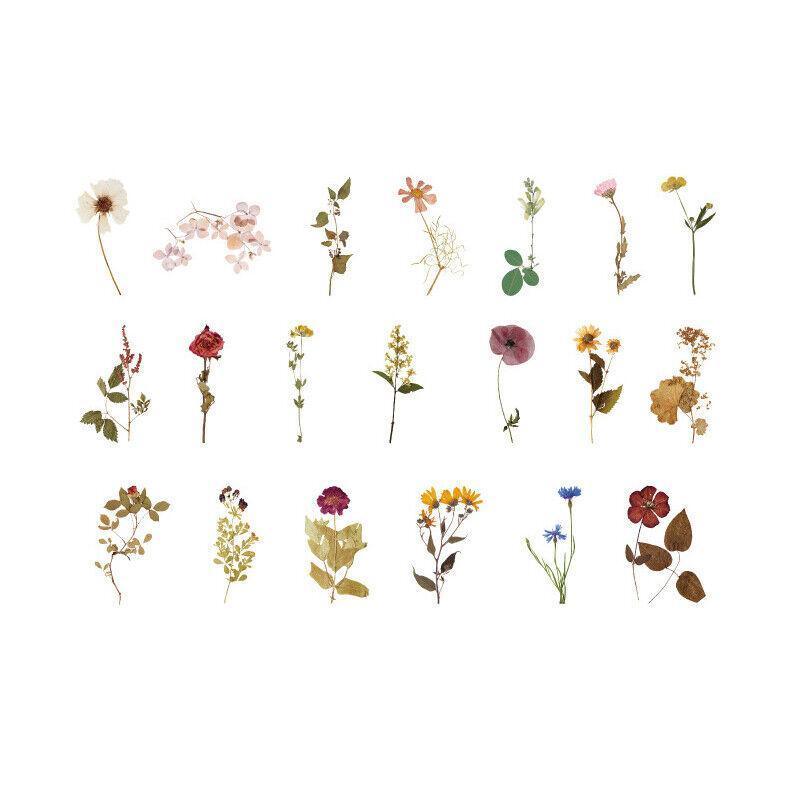 Scrapbooking Flower Stickers Pet Transparent Sticker - G