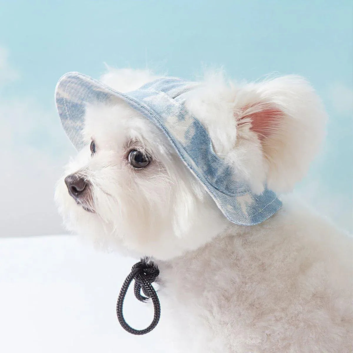 Adjustable Pet Hat with Cute Leaky Ears Sunscreen Fisherman Hat Four Seasons Use - Purple - S