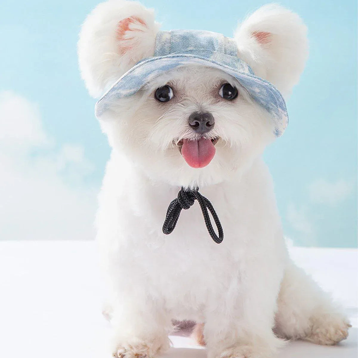 Adjustable Pet Hat with Cute Leaky Ears Sunscreen Fisherman Hat Four Seasons Use - Yellow - M