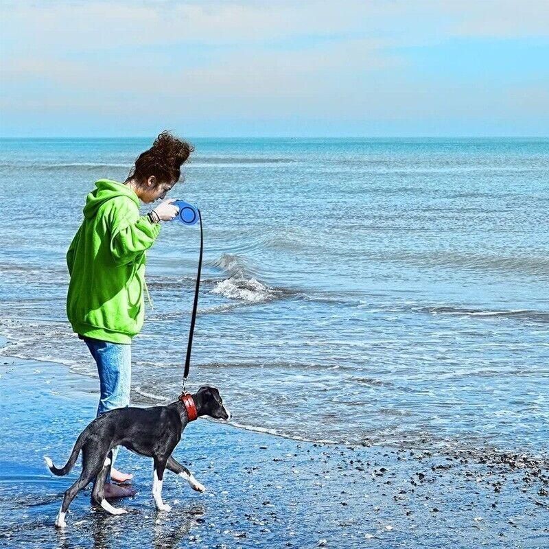 5M Dog Lead Leash Strong Retractable Extendable 5M Lockable Heavy Duty 15Kg - Blue