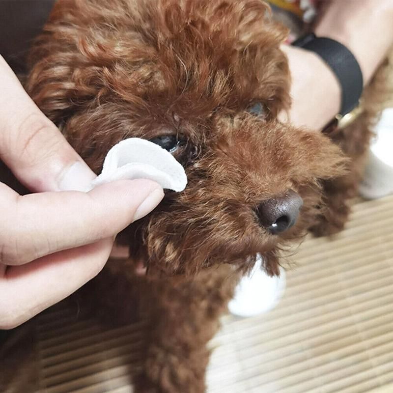 130pcs Wipes Wet Pet Eye/Ear Dog Cat Tear Stain Remover Cleaning Paper Wipes - Ear Wipes