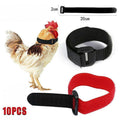 10pcs Rooster Anti Crow Collar Adjustable Nylon Neck Belt Poultry Sound Control - Black