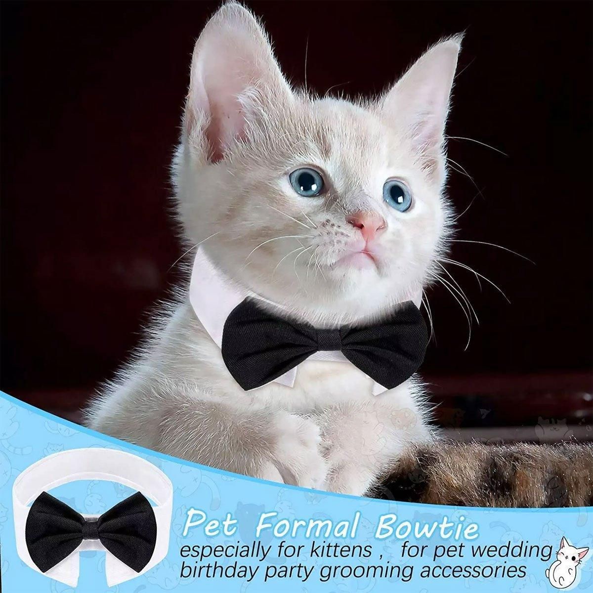 2pcs Pet Bow Tie Collar Dog Cat Suit Dress Accessories Adjustable Neck Strap - L