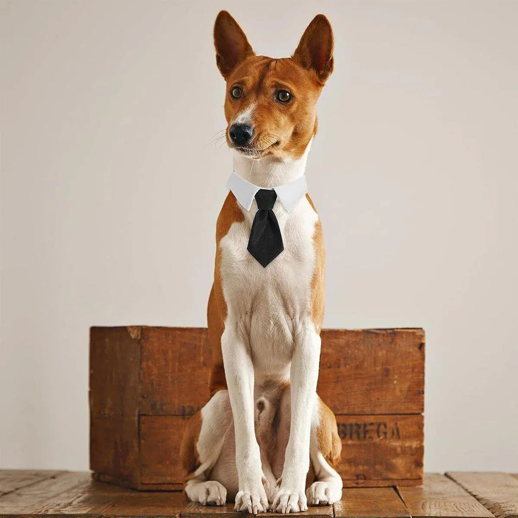 2pcs Pet Bow Tie Collar Dog Cat Suit Dress Accessories Adjustable Neck Strap - L