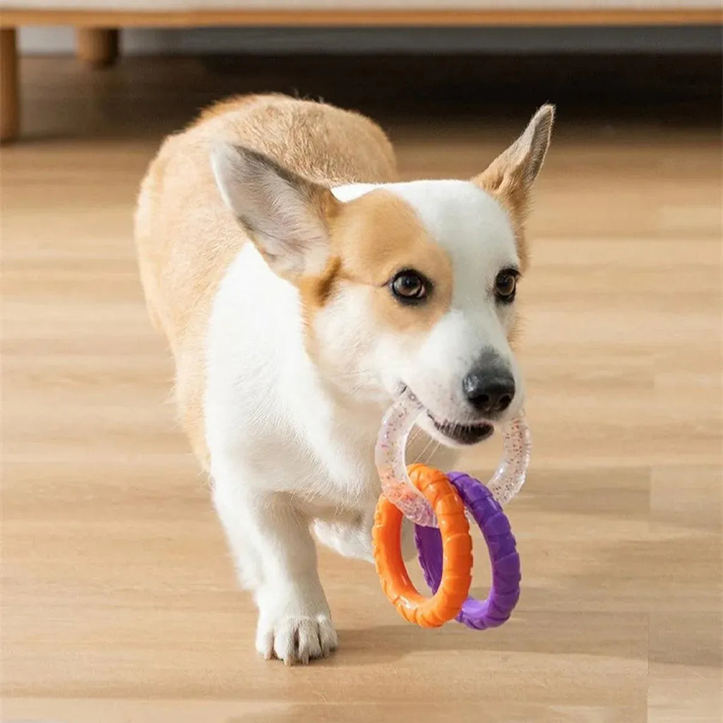 Interactive Dog Toys TRP Rubber Ring Teething Pet Rally Ring Chew Play Fetch - Blue-Purple