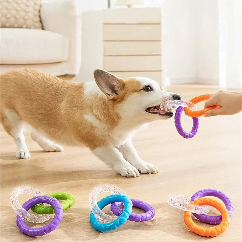 Interactive Dog Toys TRP Rubber Ring Teething Pet Rally Ring Chew Play Fetch - Green-Purple