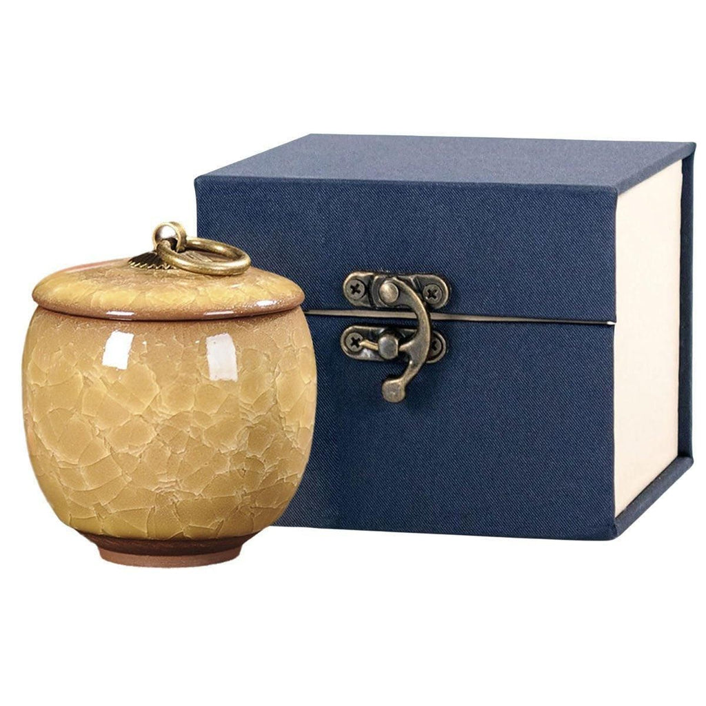 Small Pet Urn for Ashes Memorial Keepsake Urns for Dog Cat Cremation Remains - Green