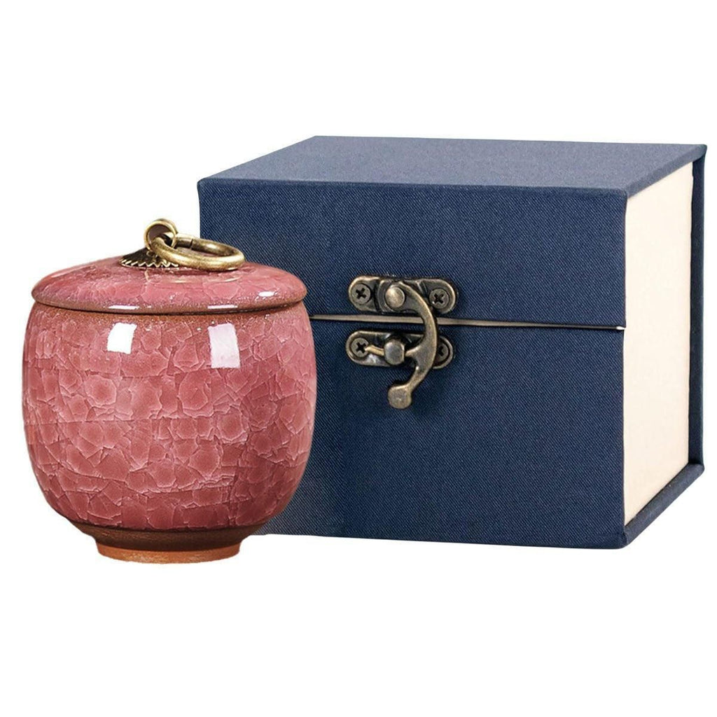 Small Pet Urn for Ashes Memorial Keepsake Urns for Dog Cat Cremation Remains - Green