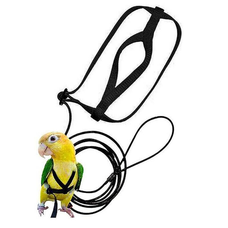 M Pet Parrot Bird Harness Lead Leash Flying Training Rope Cockatiel Outdoor - Blue